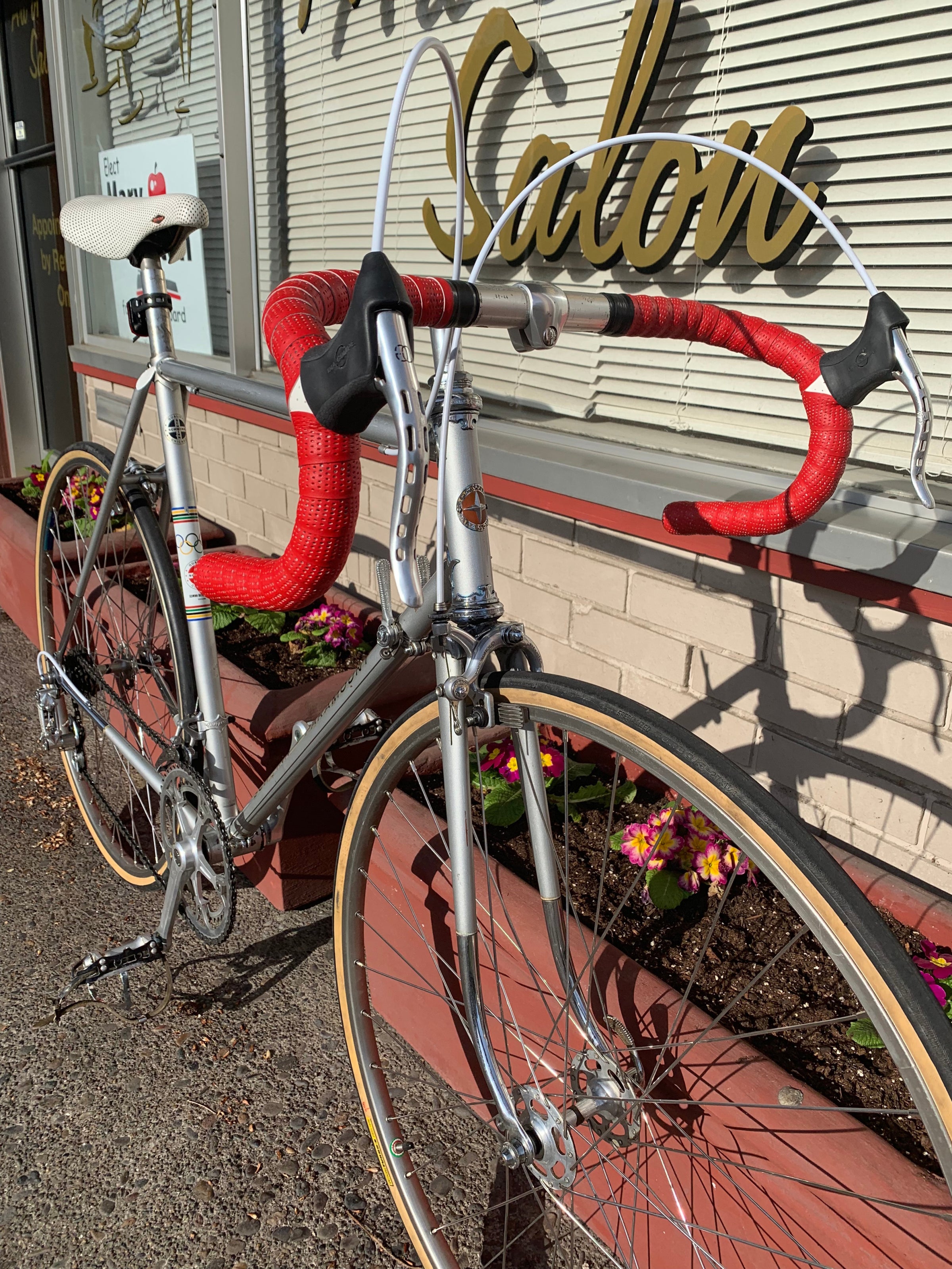 Schwinn Paramount Silver