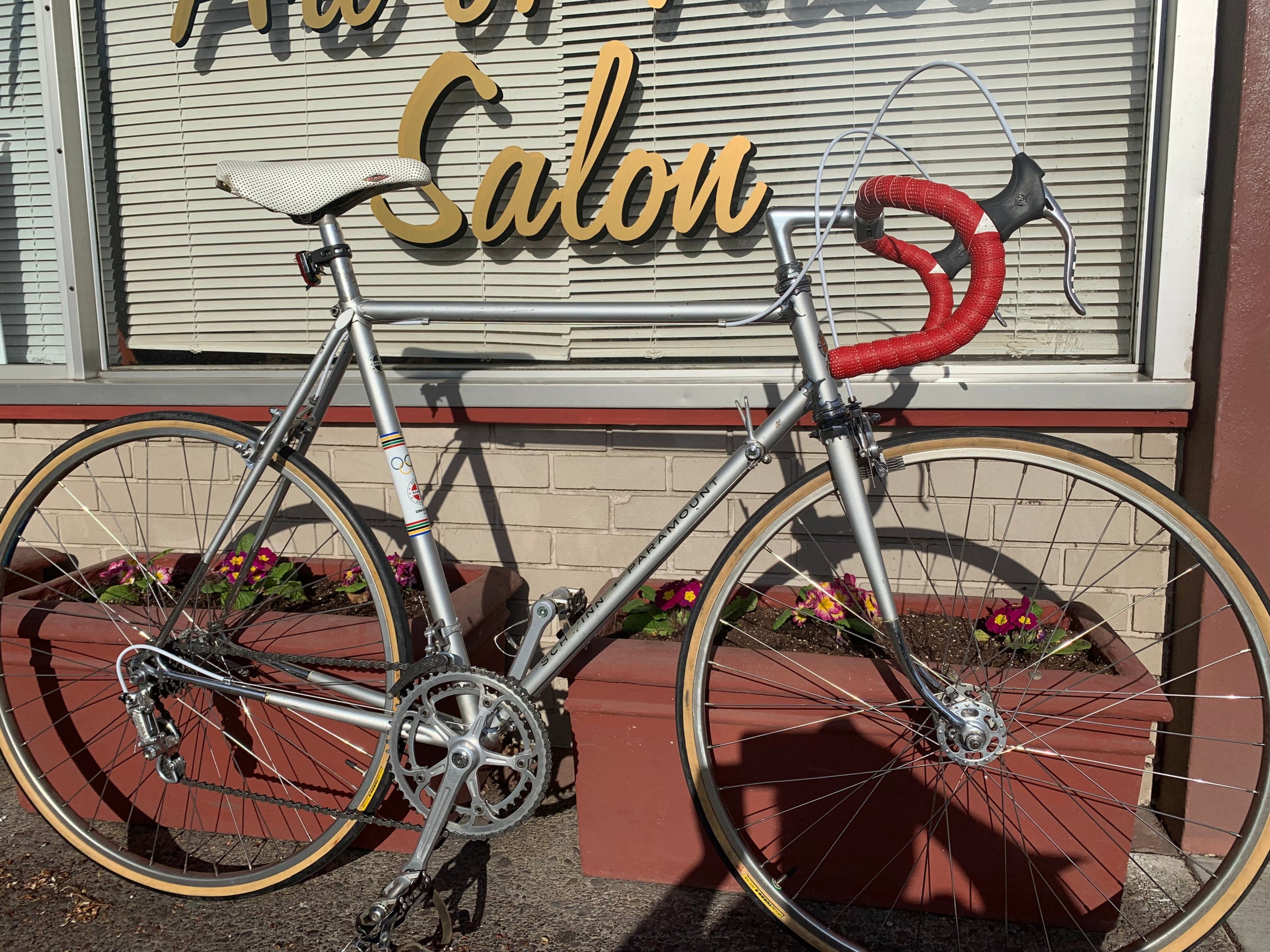Schwinn paramount best sale for sale